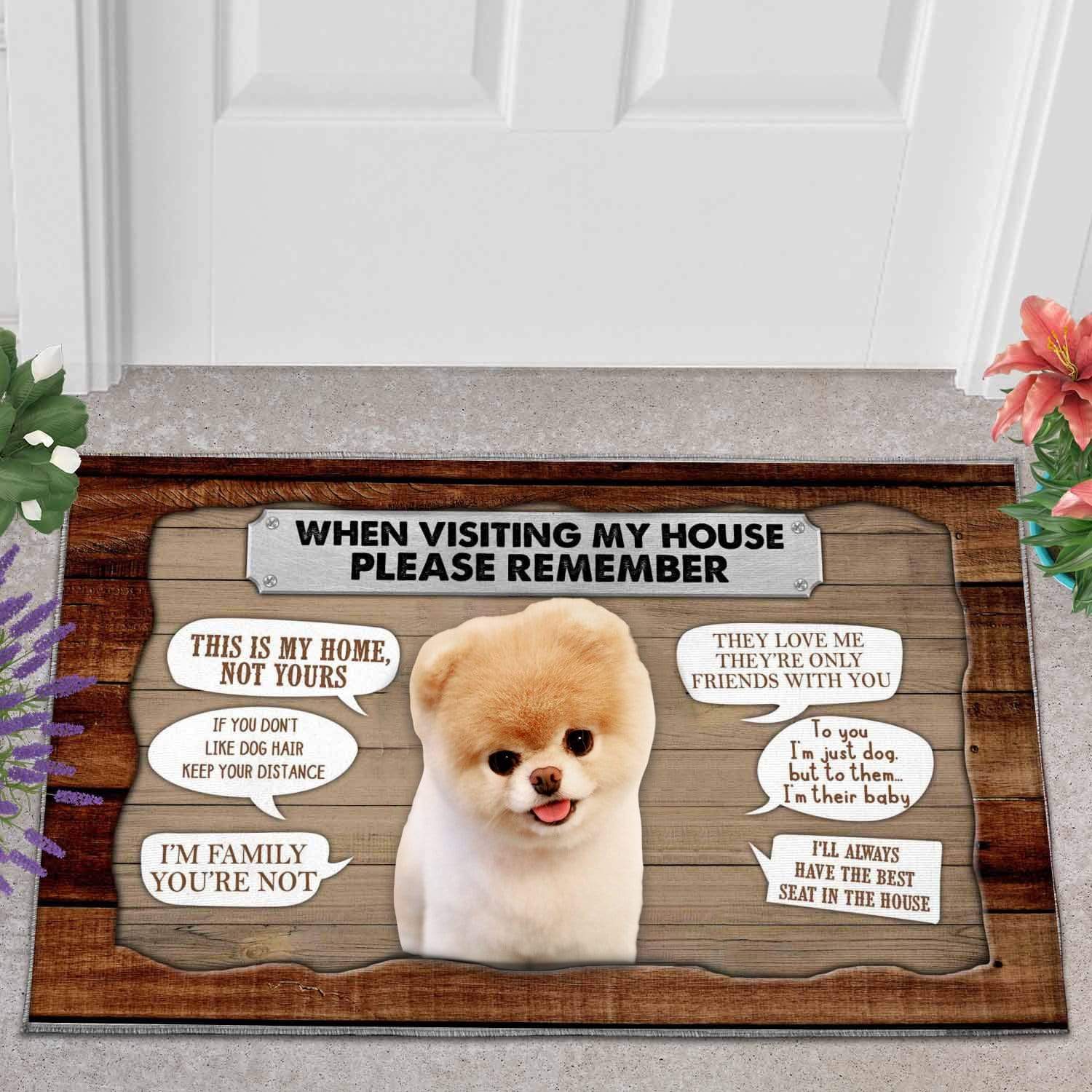 Dog moms doormat - Teddy dog DZ149-2