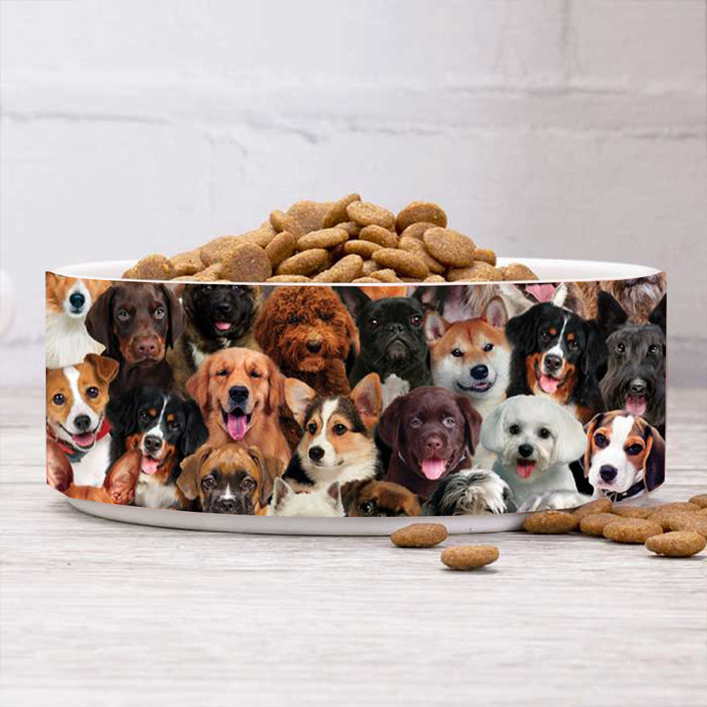 A Bunch Of Dogs01 Bowl