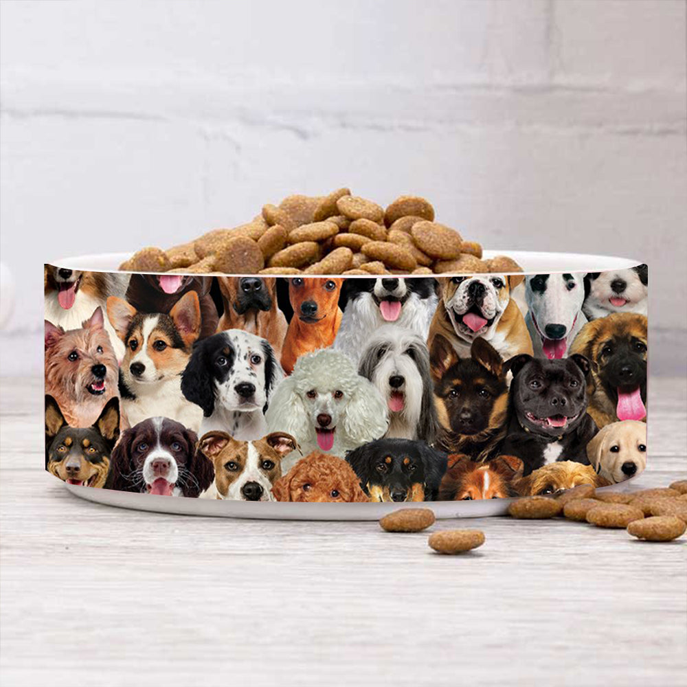 A Bunch Of Dogs02 Bowl