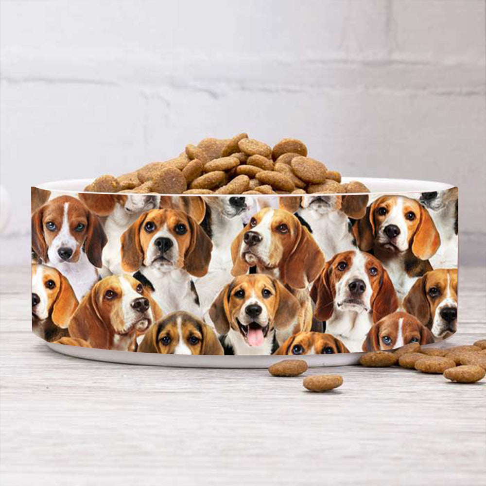 A Bunch Of Beagles Bowl