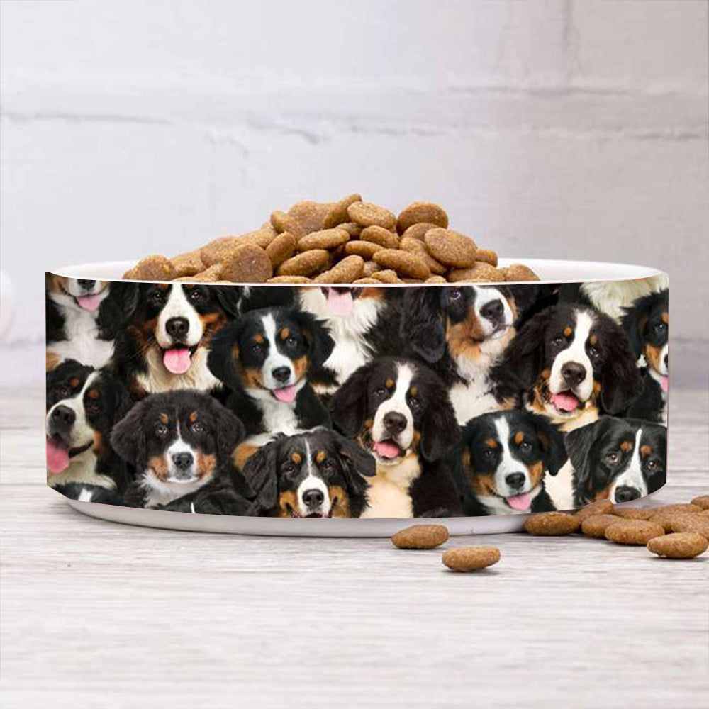 A Bunch Of Bernese Mountains Bowl
