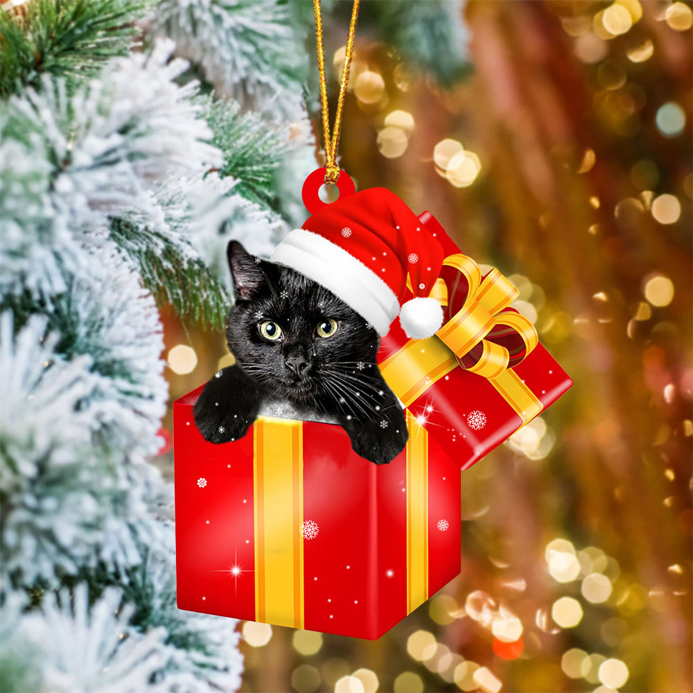 Black Cat In Red Gift Box Christmas Ornament