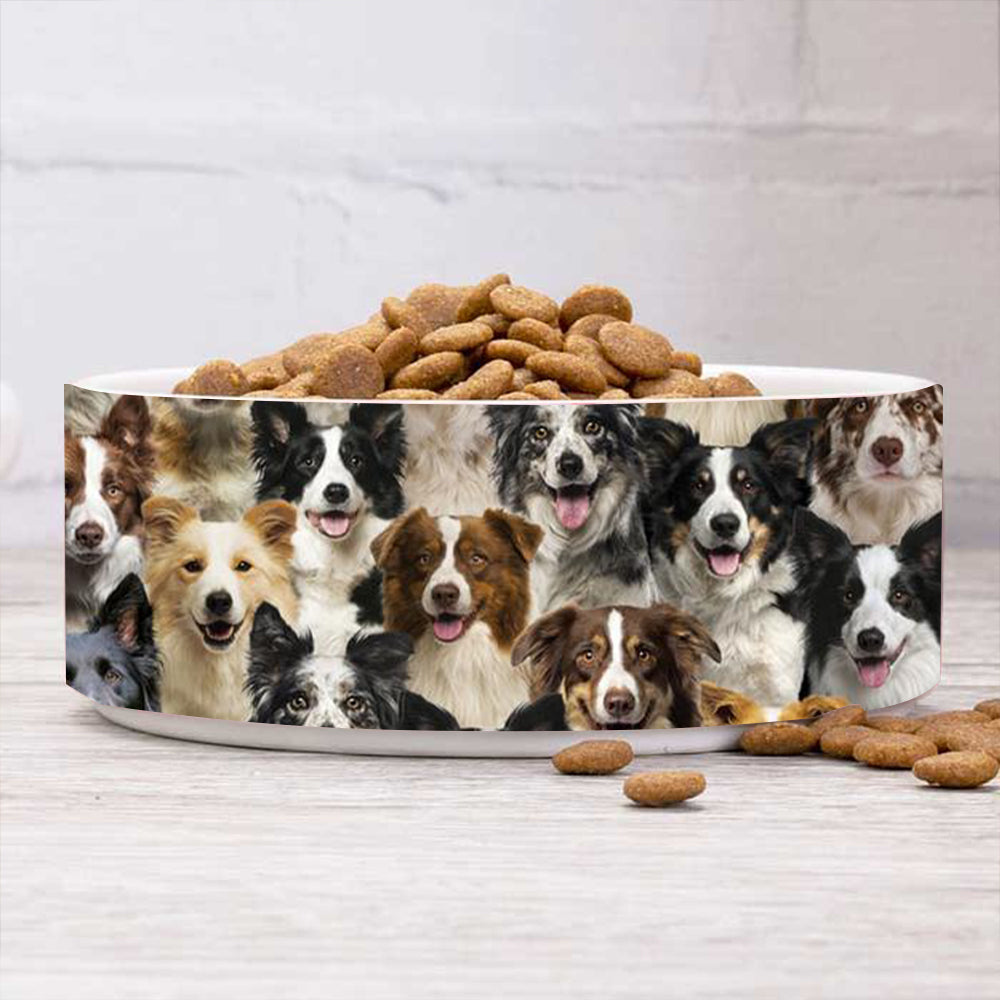 A Bunch Of Border Collies Bowl
