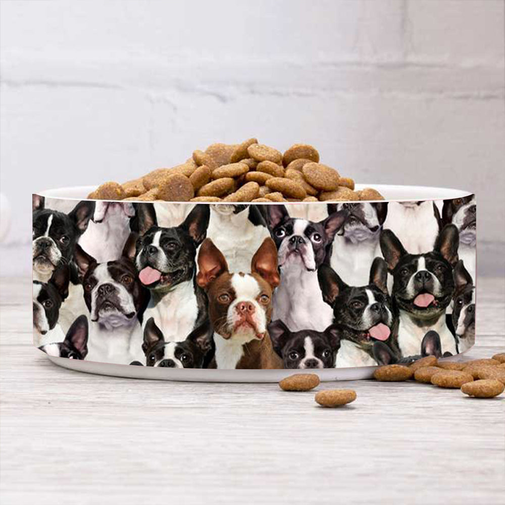 A Bunch Of Boston Terriers Bowl