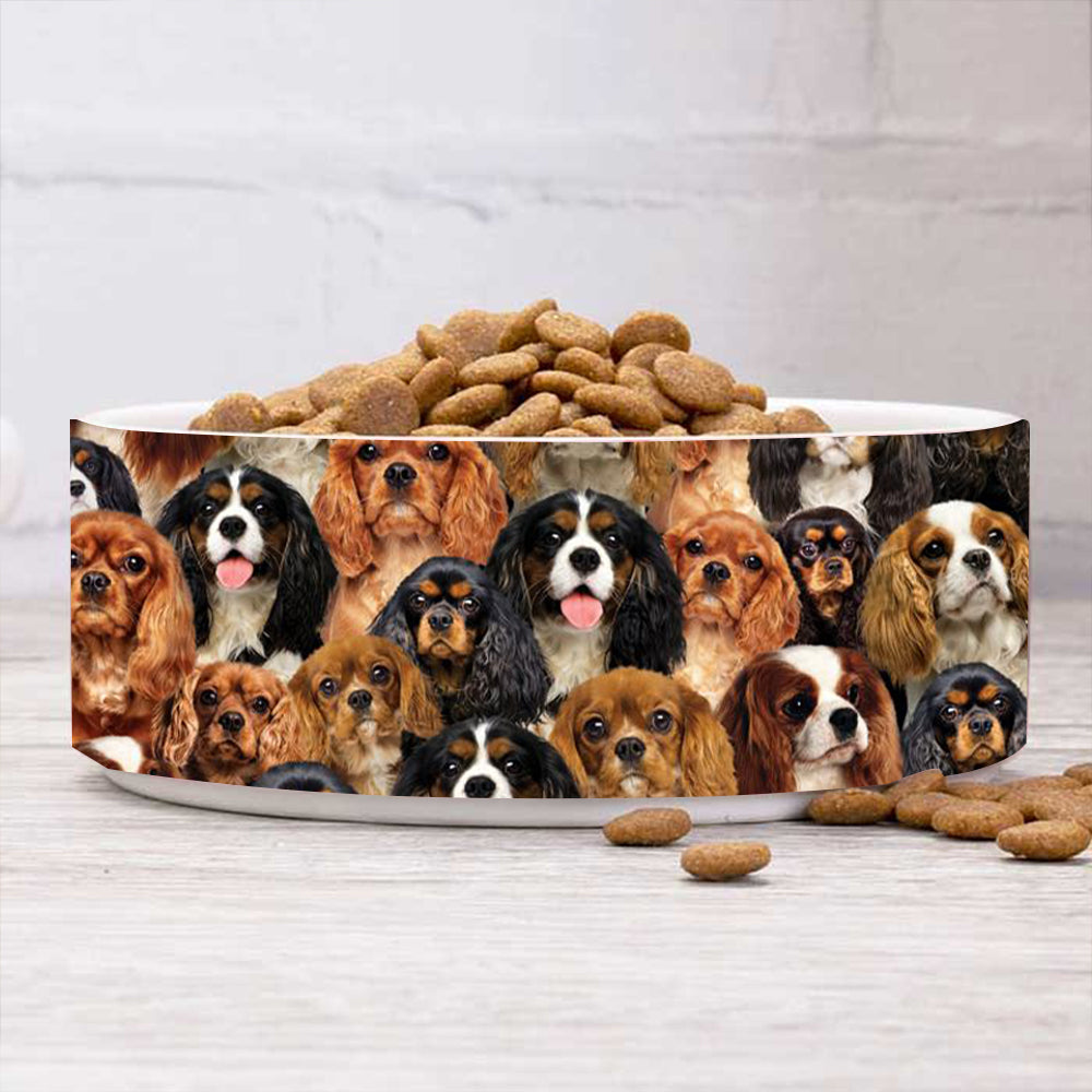 A Bunch Of Cavalier King Charles Spaniels Bowl