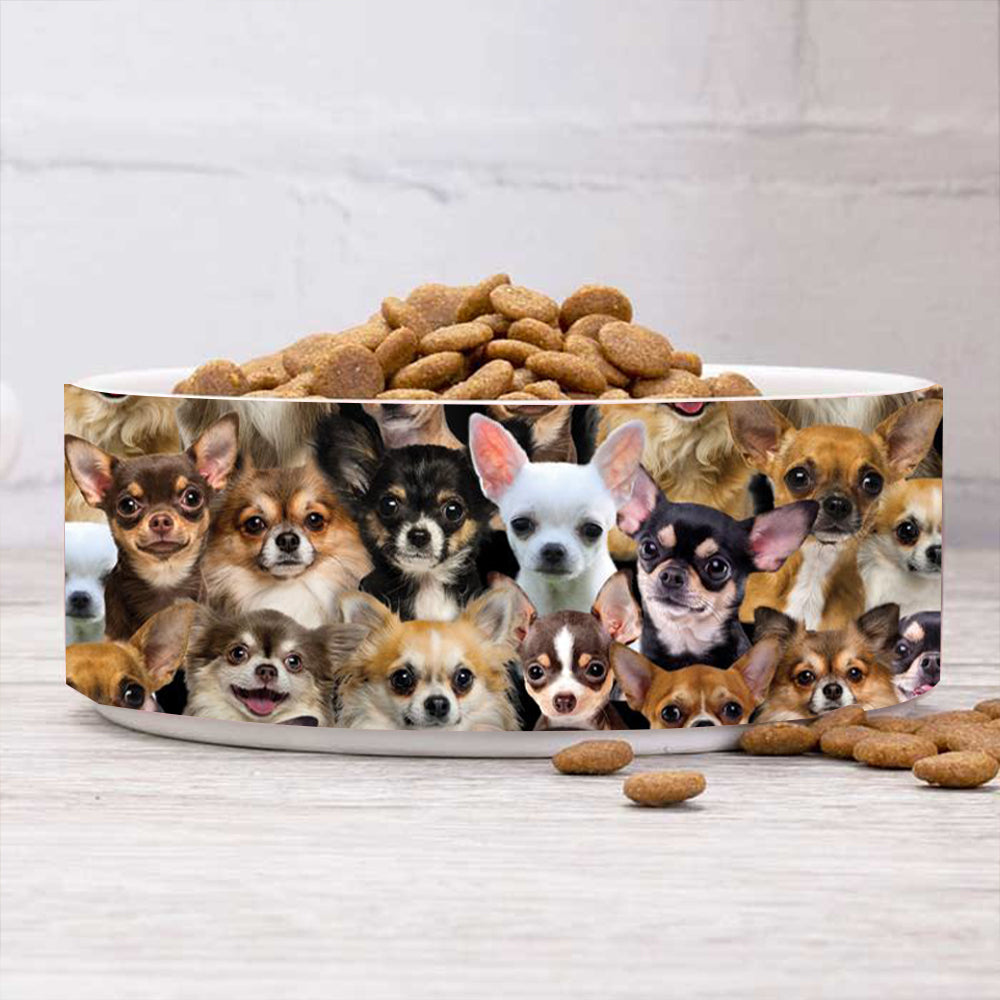 A Bunch Of Chihuahuas Bowl