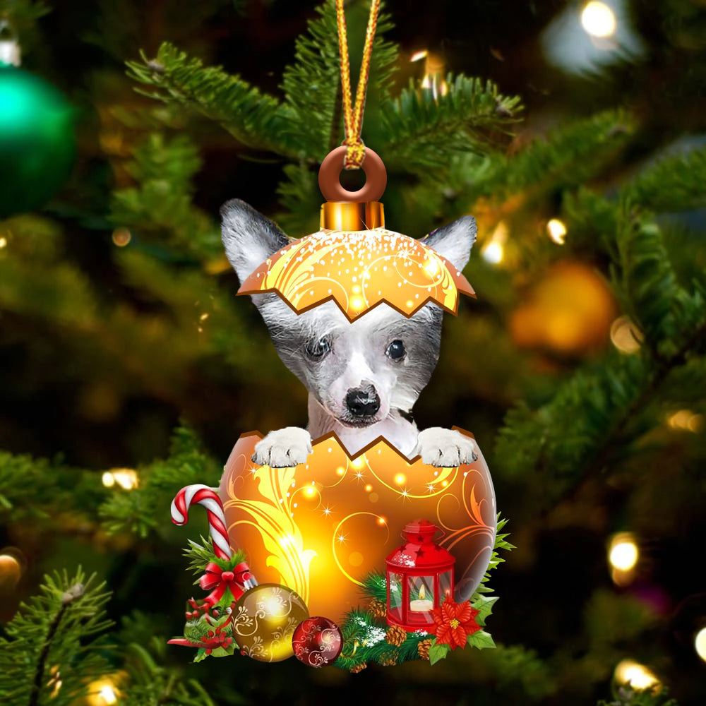 Chinese Crested Dog. In Golden Egg Christmas Ornament