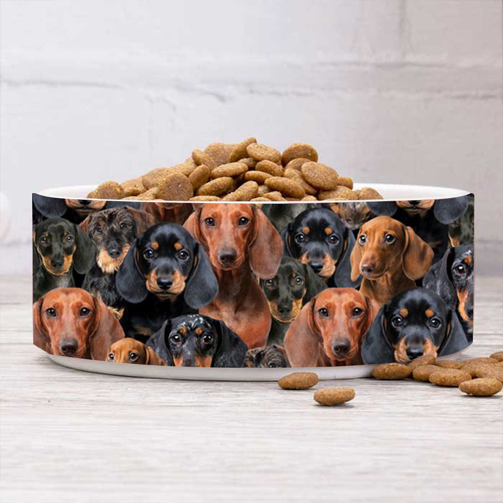A Bunch Of Dachshunds Bowl