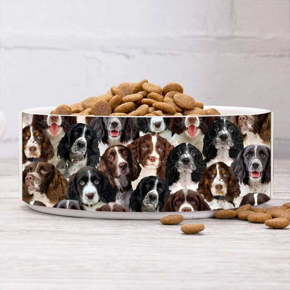 A Bunch Of English Springer Spaniels Bowl
