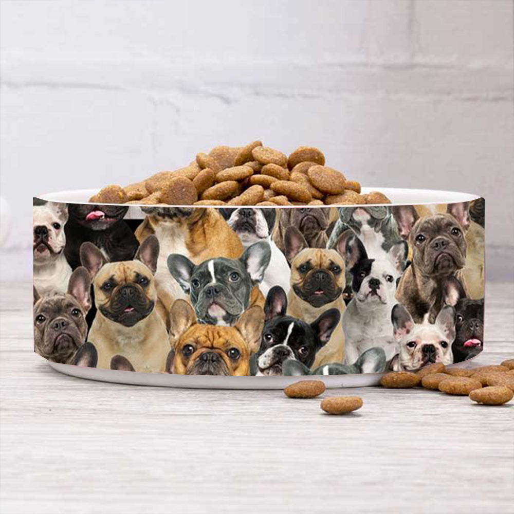 A Bunch Of French Bulldogs Bowl