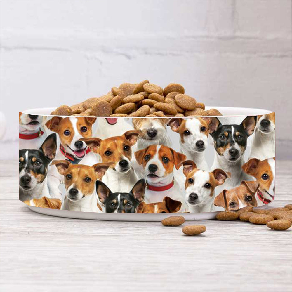 A Bunch Of Jack Russell Terriers Bowl