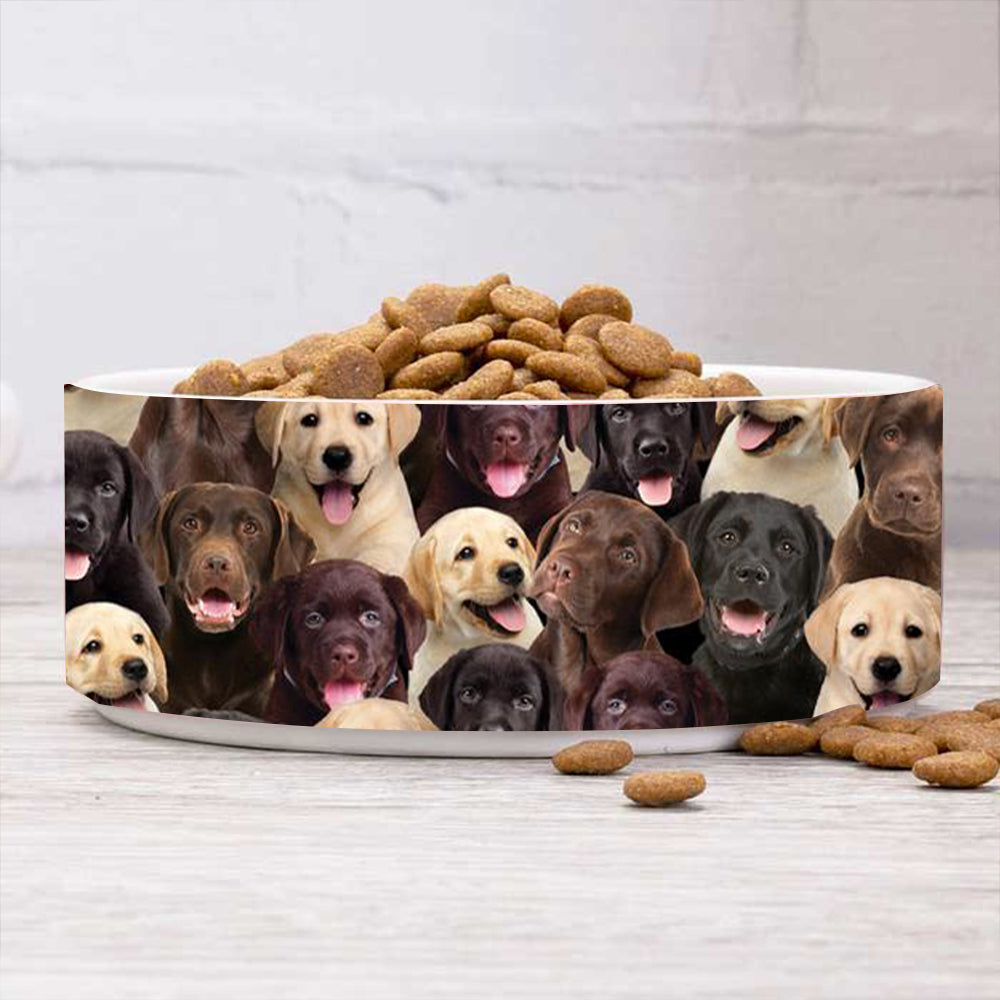 A Bunch Of Labradors Bowl