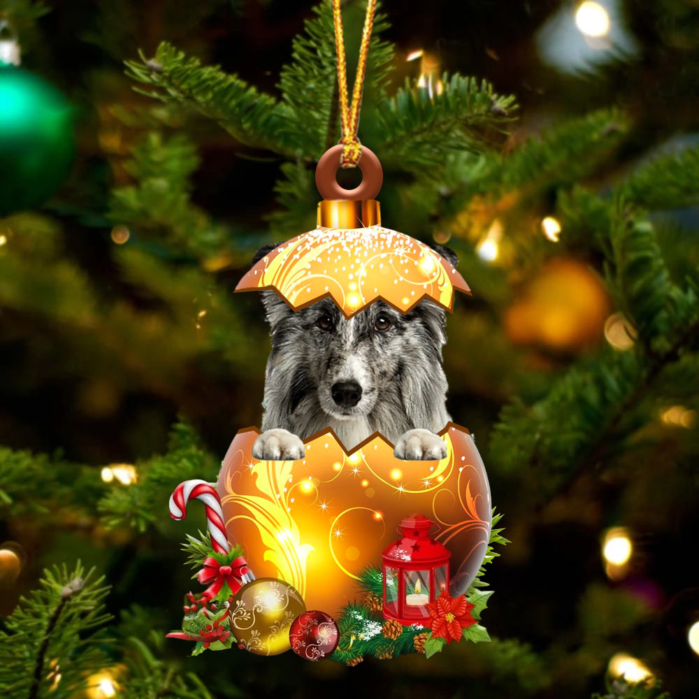 Shetland Sheepdog .. In Golden Egg Christmas Ornament