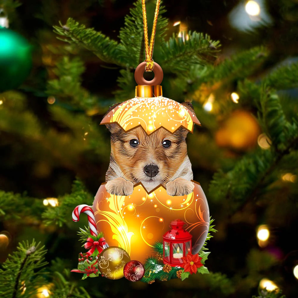 Shetland Sheepdog In Golden Egg Christmas Ornament