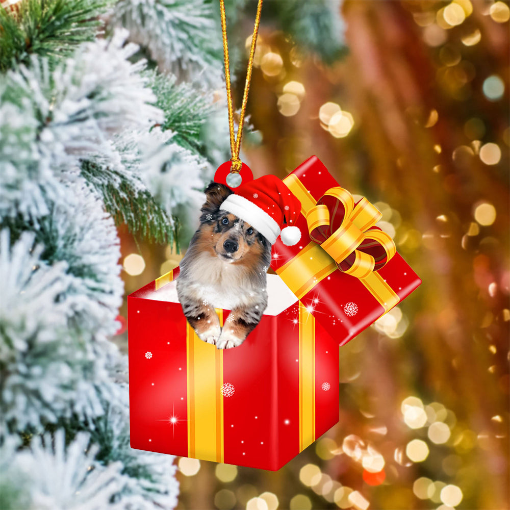 Shetland Sheepdog In Red Gift Box Christmas Ornament